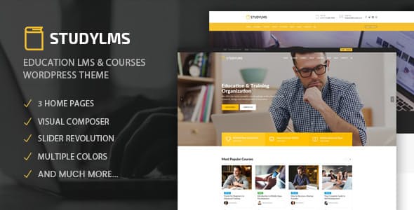 Studylms v1.9 &#8211; Education LMS &amp; Courses WordPress Theme