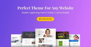 Astra Theme &#8211; Everything You Need to Build a Stunning Website v2.5.1 nulled