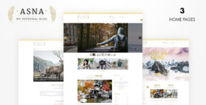 Asna | Creative Blog for WordPress Theme v2.2 nulled