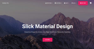 Hestia Pro &#8211; Sharp Material Design Theme For Startups | Creative v3.0.8 nulled