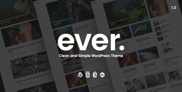 Ever v1.2.3 &#8211; Clean and Simple WordPress Theme