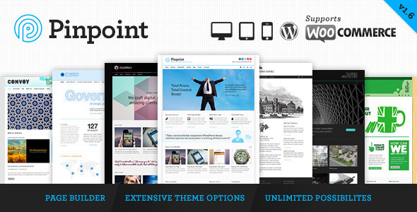 Pinpoint v1.7.30 &#8211; Responsive Multi-Purpose WP Theme