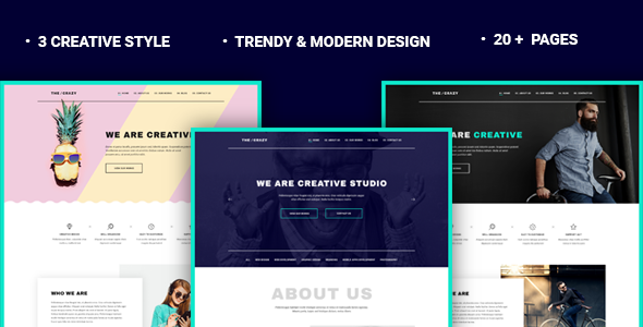 The Crazy v1.1 &#8211; Creative Agency WP Template
