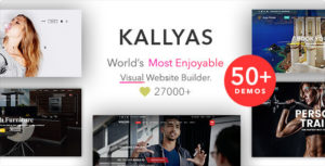 KALLYAS &#8211; Creative eCommerce Multi-Purpose WordPress Theme v4.18.0 nulled